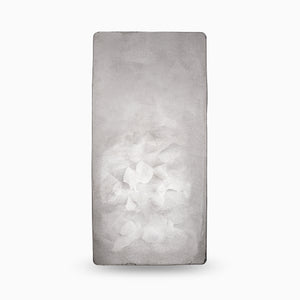 100 Ounce Bar, Argentia .9999 Fine Silver